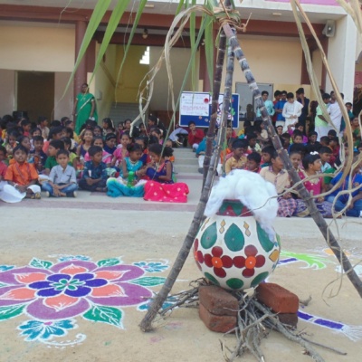 pongal celebration