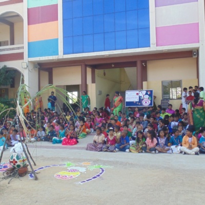 pongal celebration