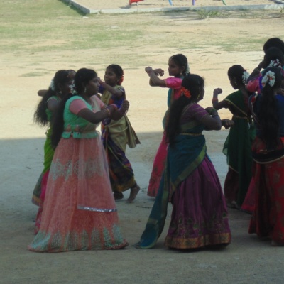 pongal celebration