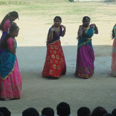 pongal celebration